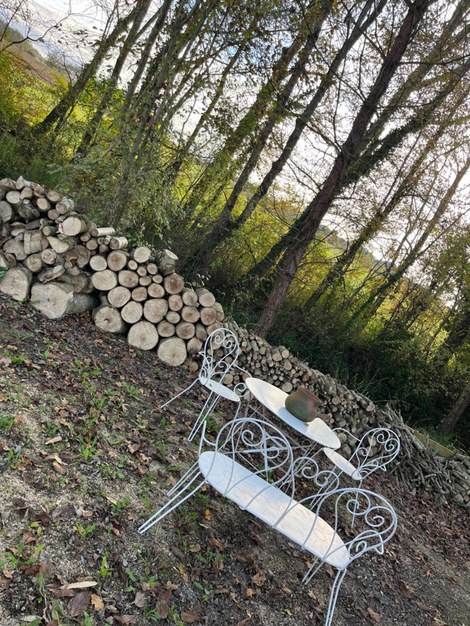 Chez Mamie Villa L'Isle Jourdain Bagian luar foto